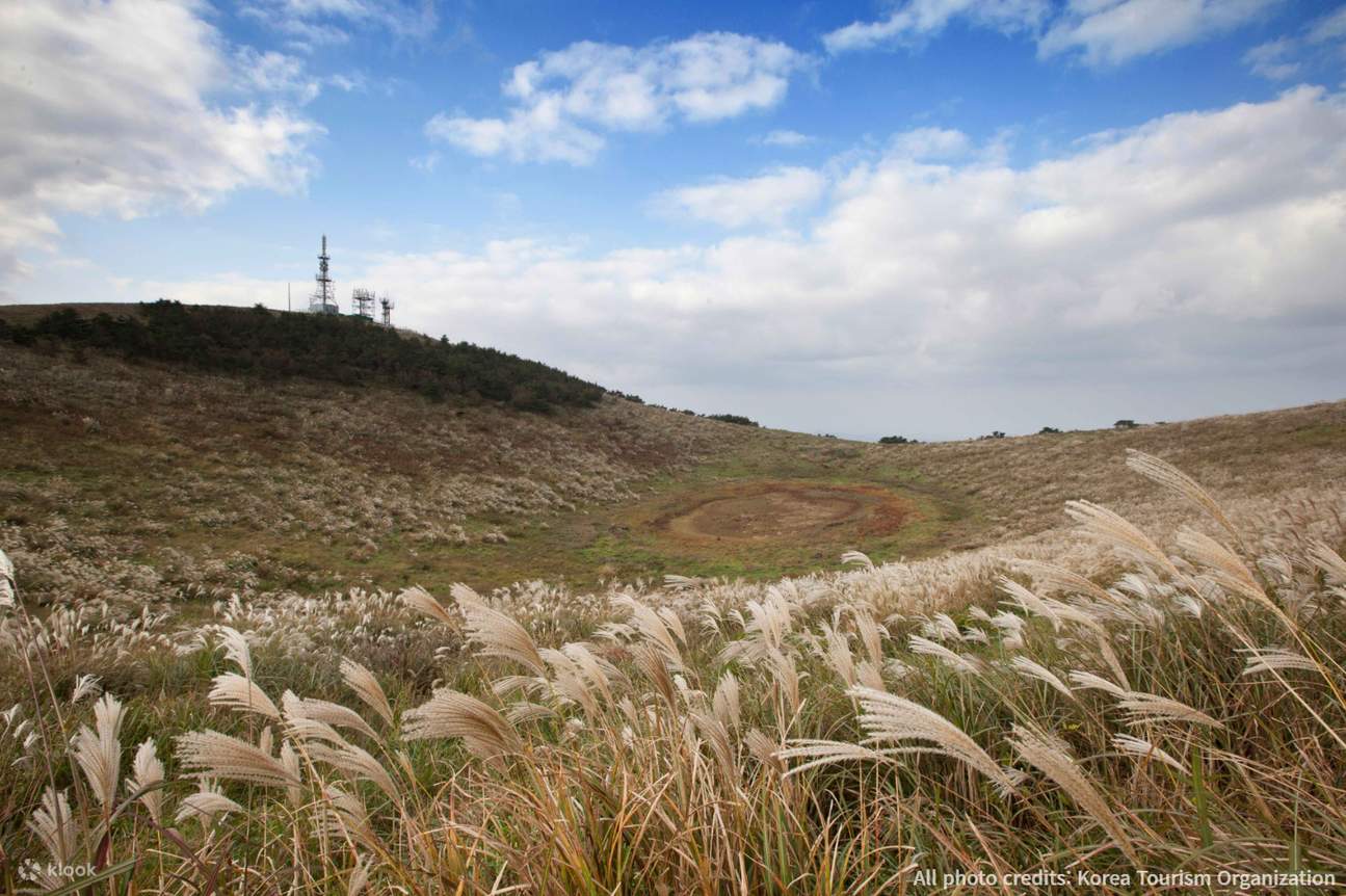 済州島（チェジュ）プライベートタクシーチャーター