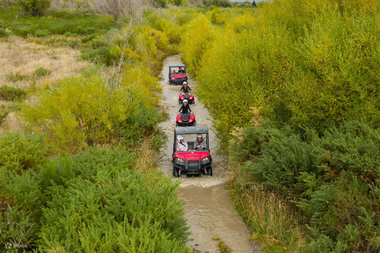 quad bike or buggy hanmer springs