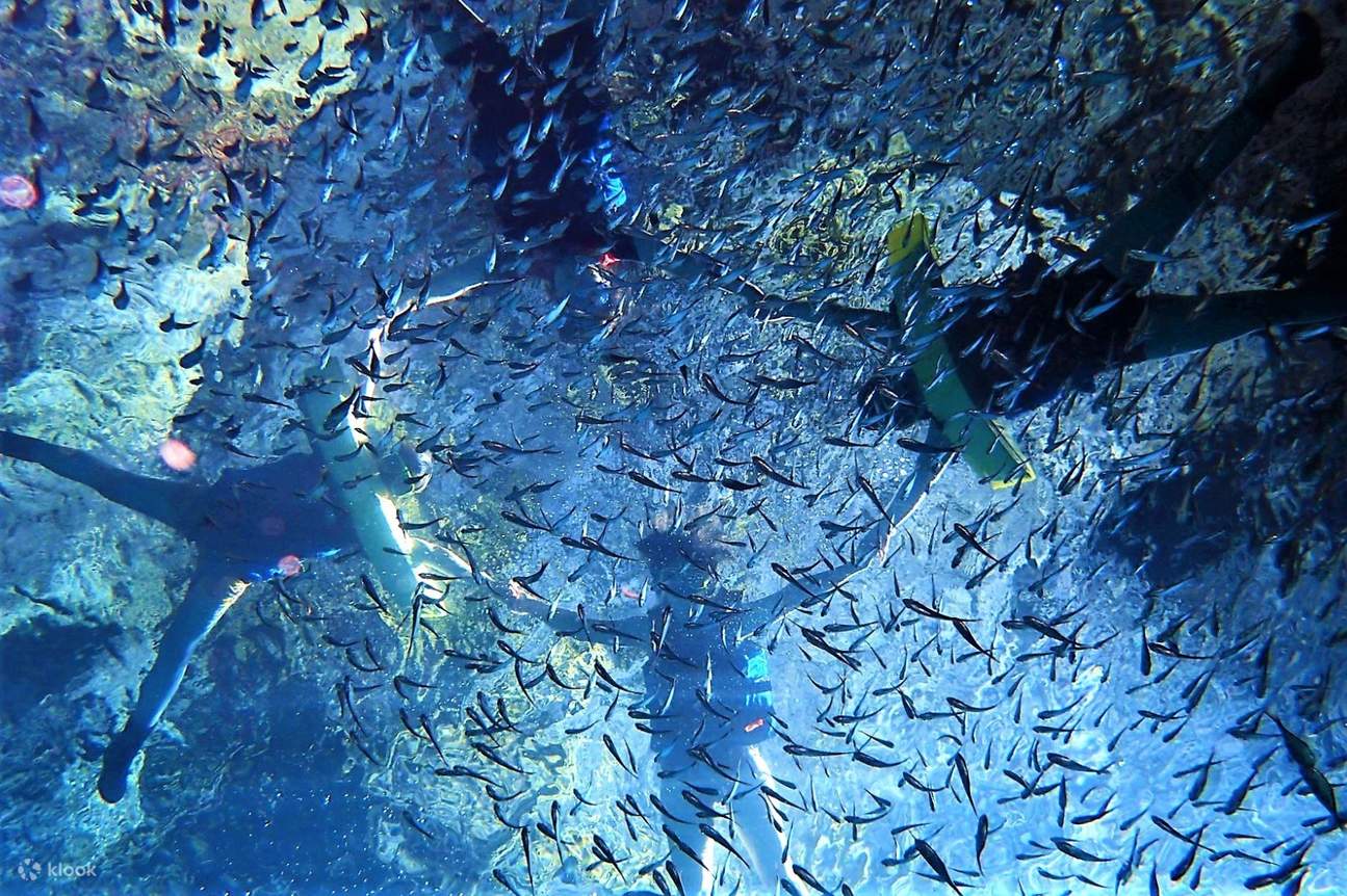 緑島ブルーホール秘境探検ツアー