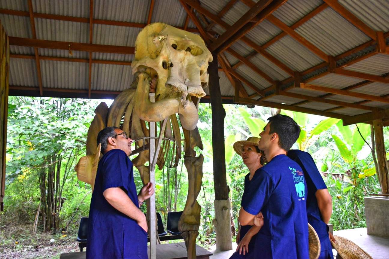 Chiang Mai Elephant Conservation Foundation ( Maesa Elephant Camp