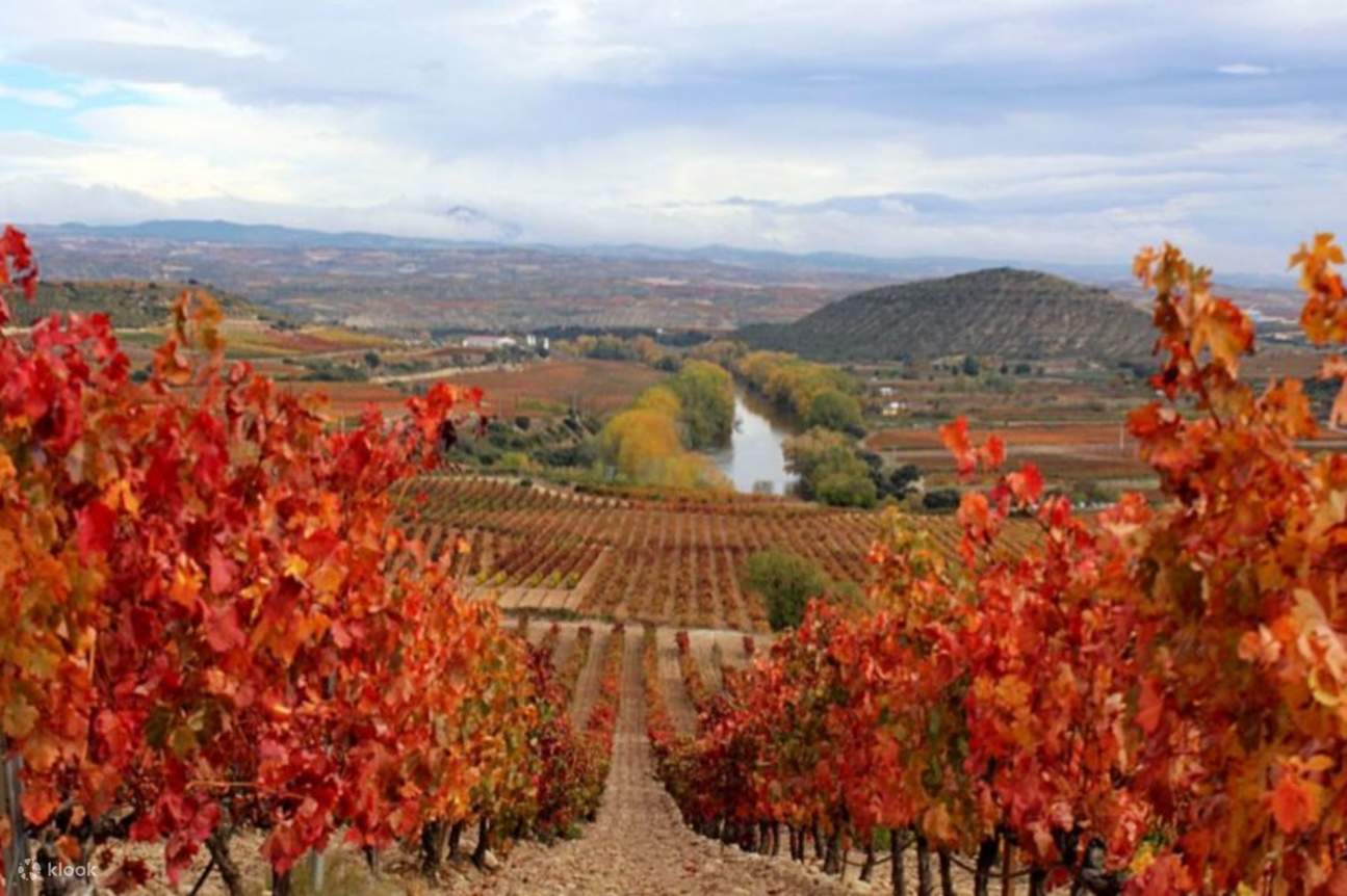 Rioja and Ribera del Duero Wineries Private One Day Tour from Madrid Bus Tour from Madrid