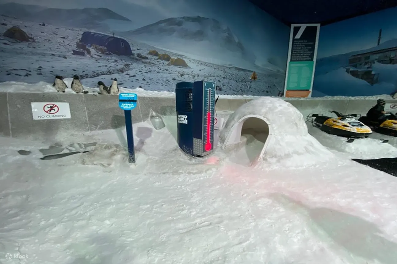 igloo