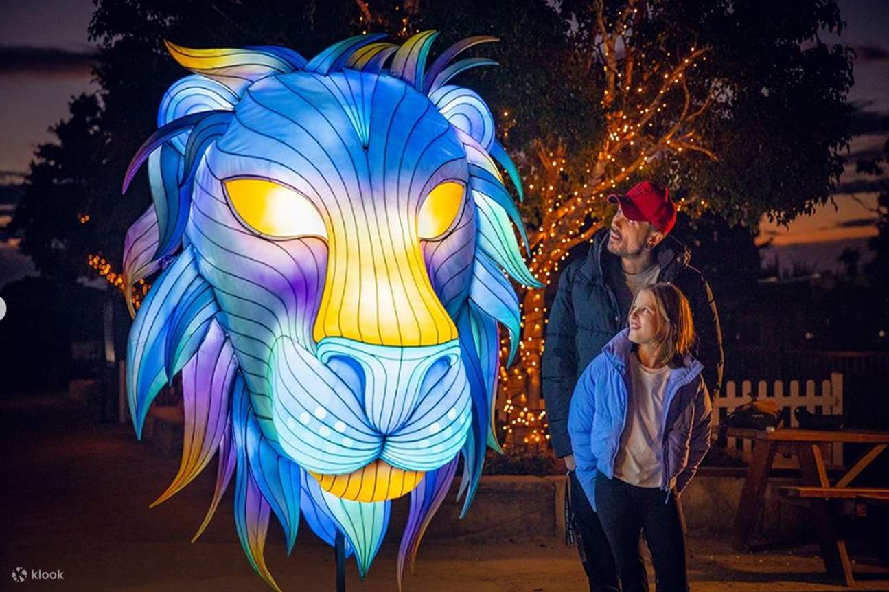 GLOW at Sydney Zoo Admission Klook