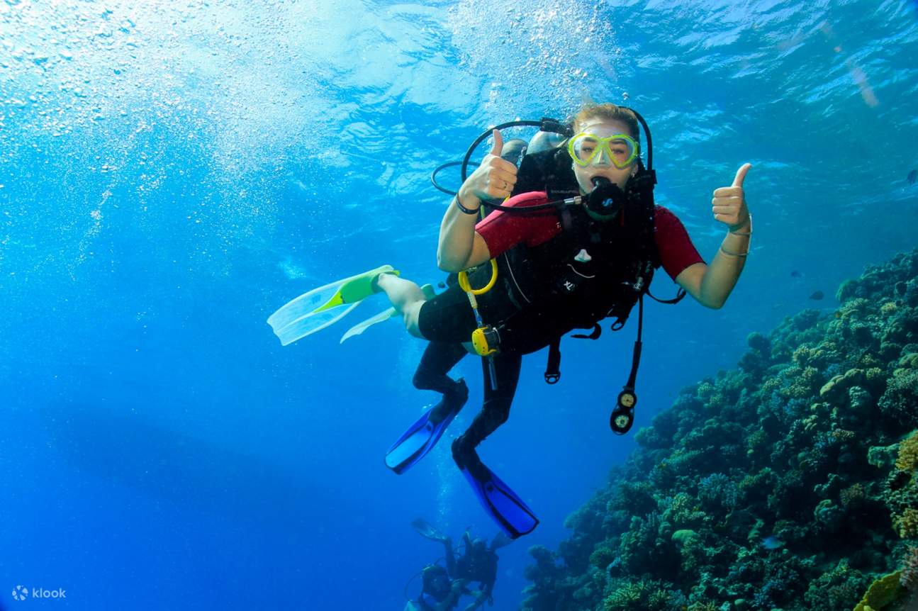 红海洪加达潜水之旅（含午餐和接送服务）- 适合初学者