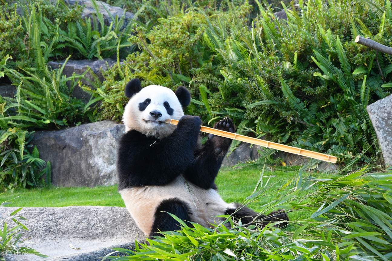 Wakayama Abenteuerwelt