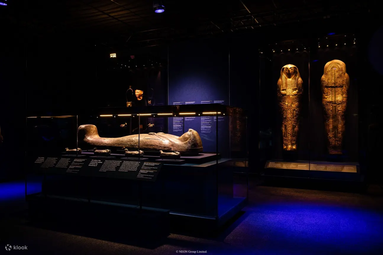 ACN Egyptian Antiquities Touring Exhibition 