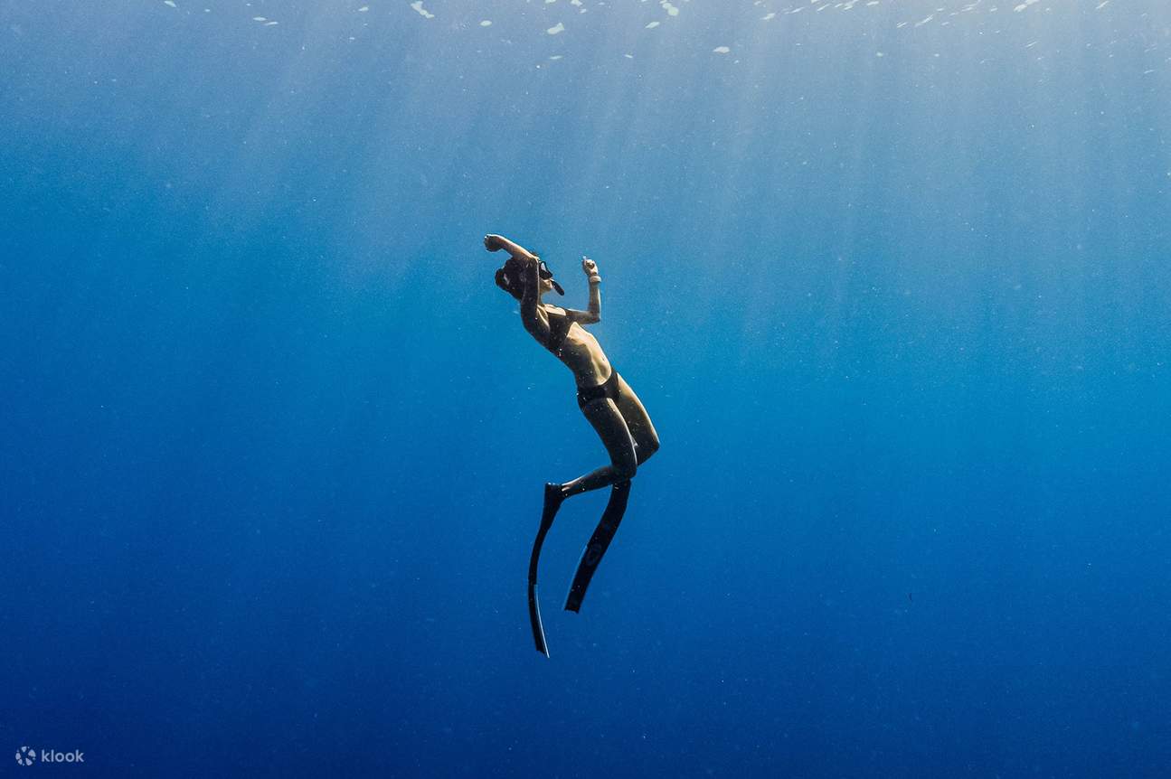 Discover Freediving: One Day Introduction Experience Klook