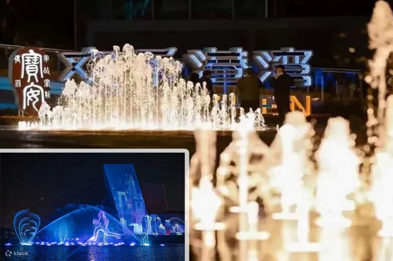 Biglietto per la ruota panoramica di Shenzhen OCT OH Bay