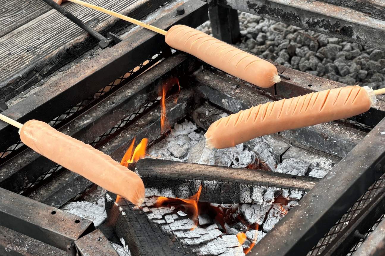 Yeoju Pet Farm Erlebnis - Füttern, Spielen & Bindung mit Hunden & Katzen