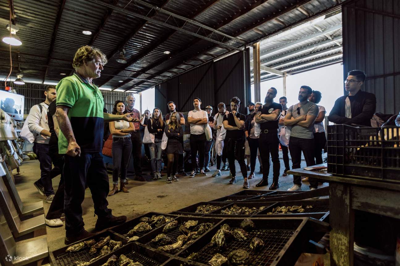 4 Hour Join In Oyster Farm Tour And In Water Tasting Experience in Mooney Mooney Oyster Farm