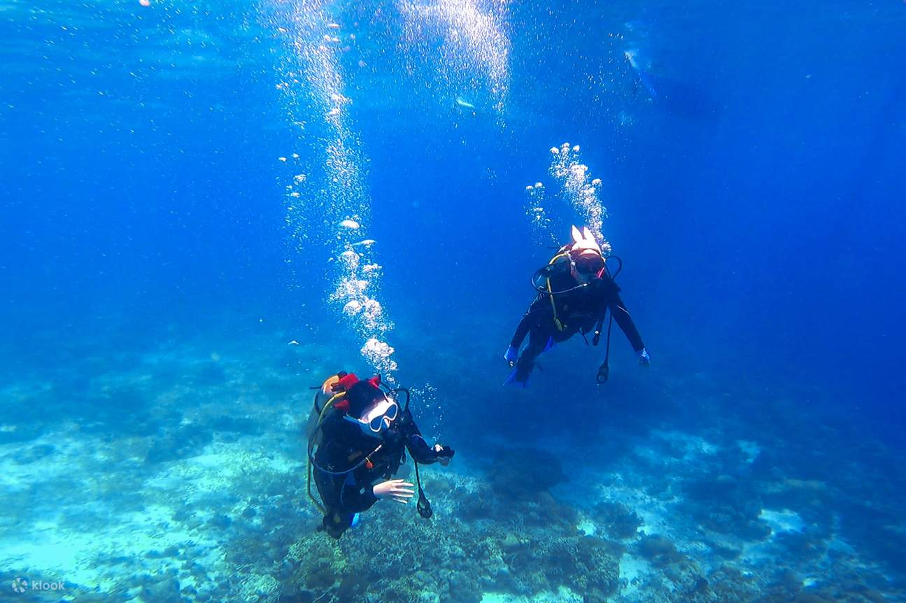 Open Water Diver Certification Learn to SCUBA Dive in MACTAN CEBU Klook