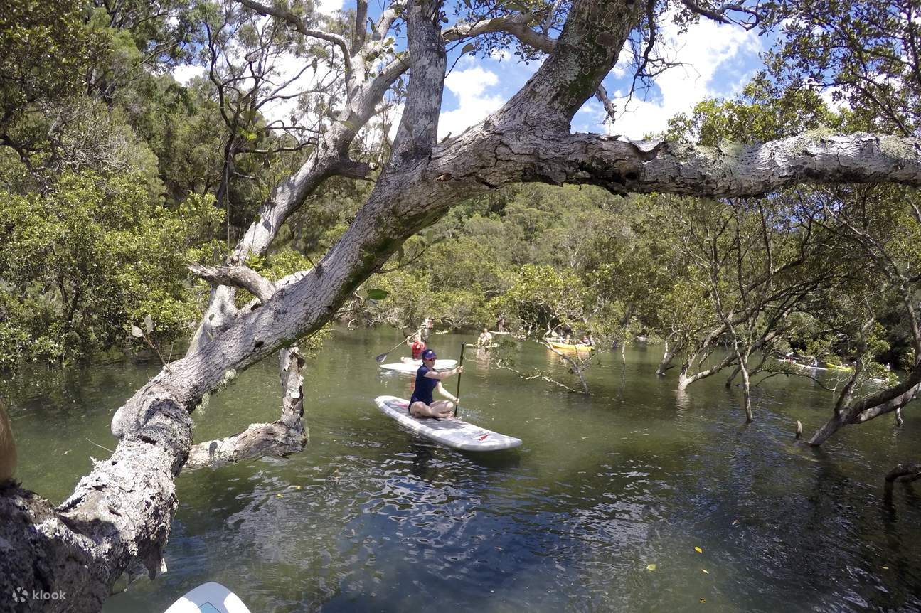 Stand Up Paddleboard Hire Rental in Basin Kuringgai Australia Klook
