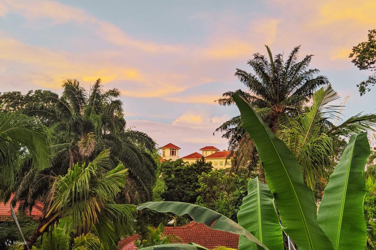 丛林中的叉子：义大利小酒馆