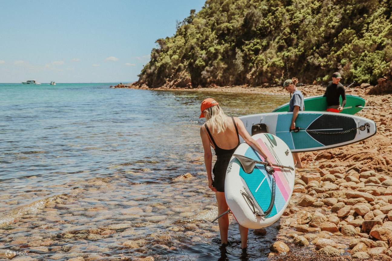 1 Day Join In Stand Up Paddle Board Experience in Mornington Peninsula