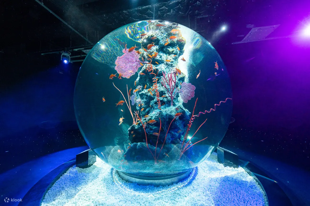 城市水族馆