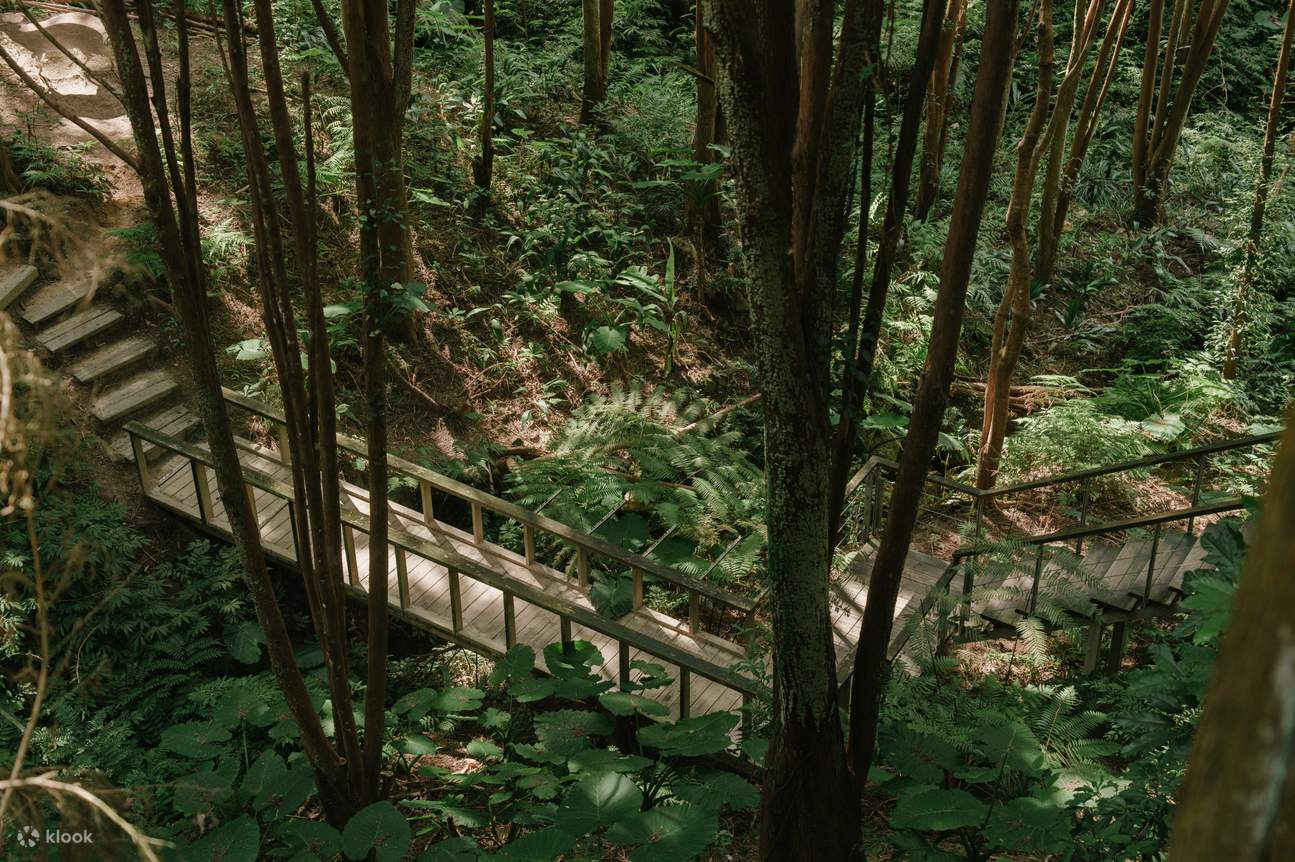 Billets pour la Forêt de Lavande à Hsinchu et Taichung