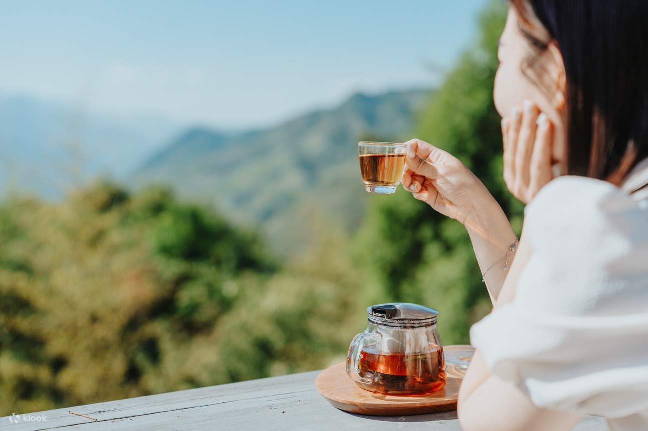 Billets pour la Forêt de Lavande à Hsinchu et Taichung
