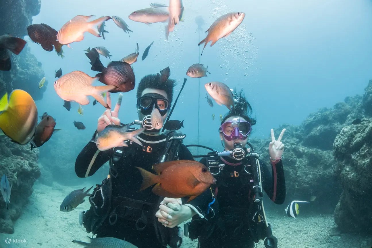 Diving Experience and OW Junior Diver Course in Green Sea Turtle Dive Shop Pingtung Xiaoliuqiu