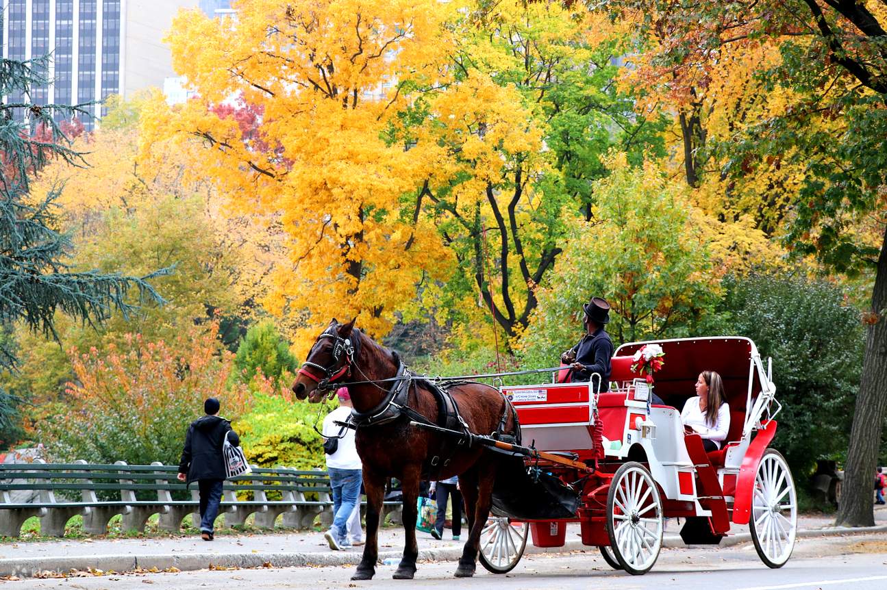 Central Park Horse Carriage Tour in New York Klook India