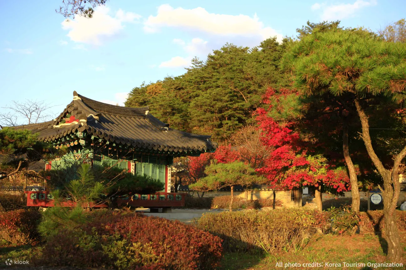 顺毗村