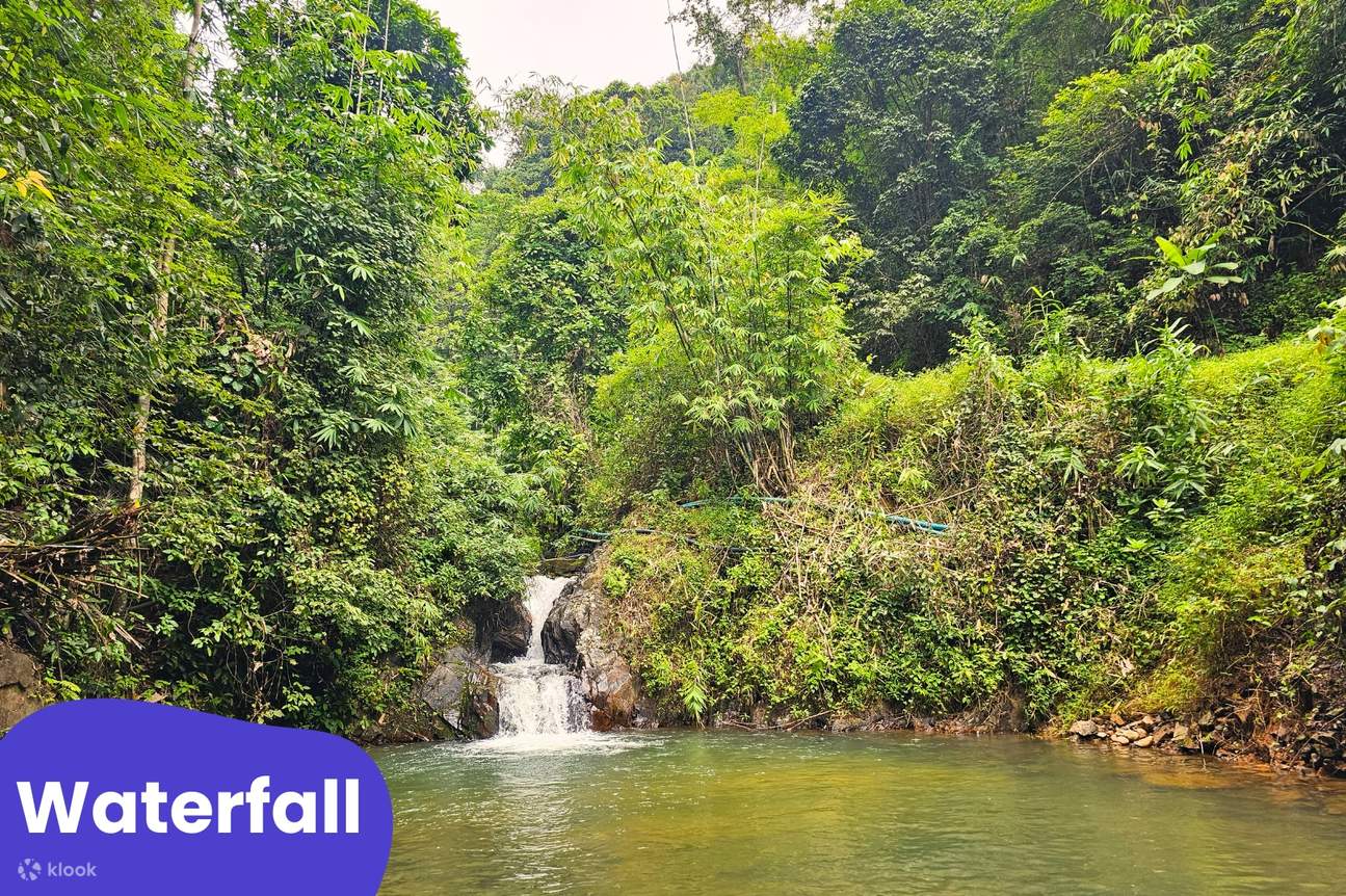 ラフティング、ATV、象のバース、サメット・ナンシーなど 