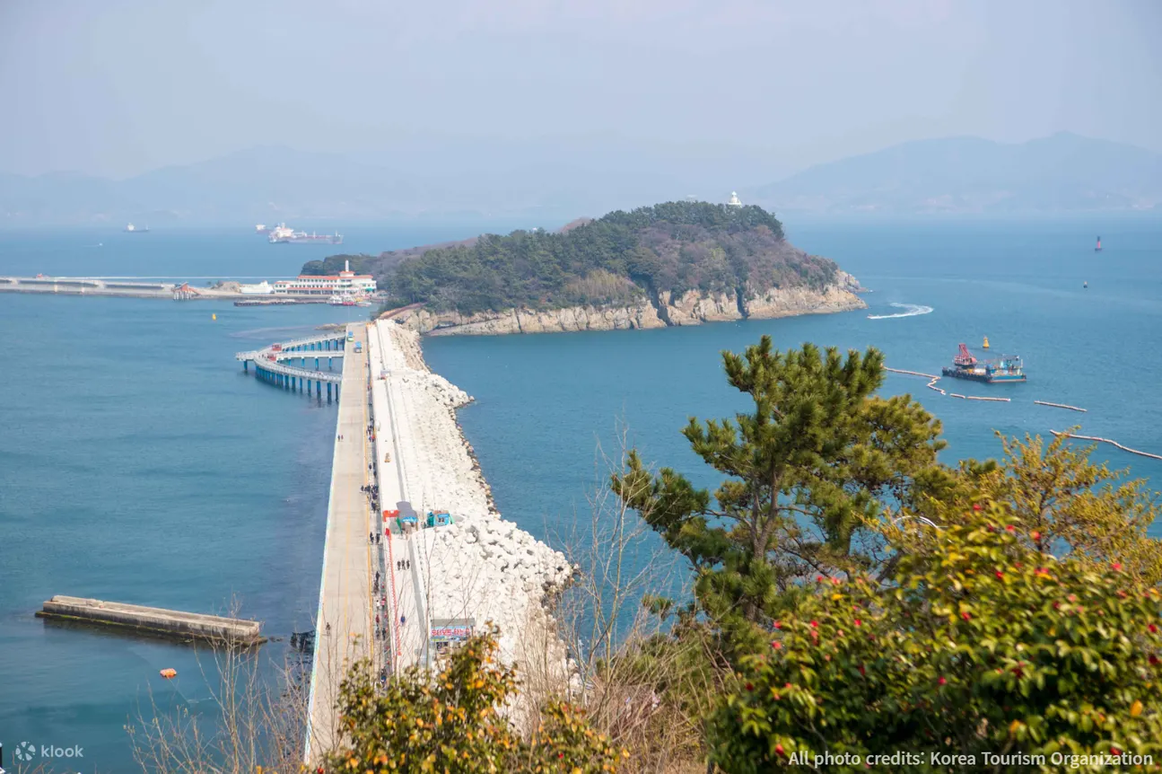 梧桐岛