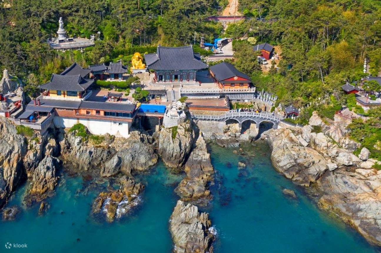 BUSAN + ULSAN 3 Days Tour - Klook