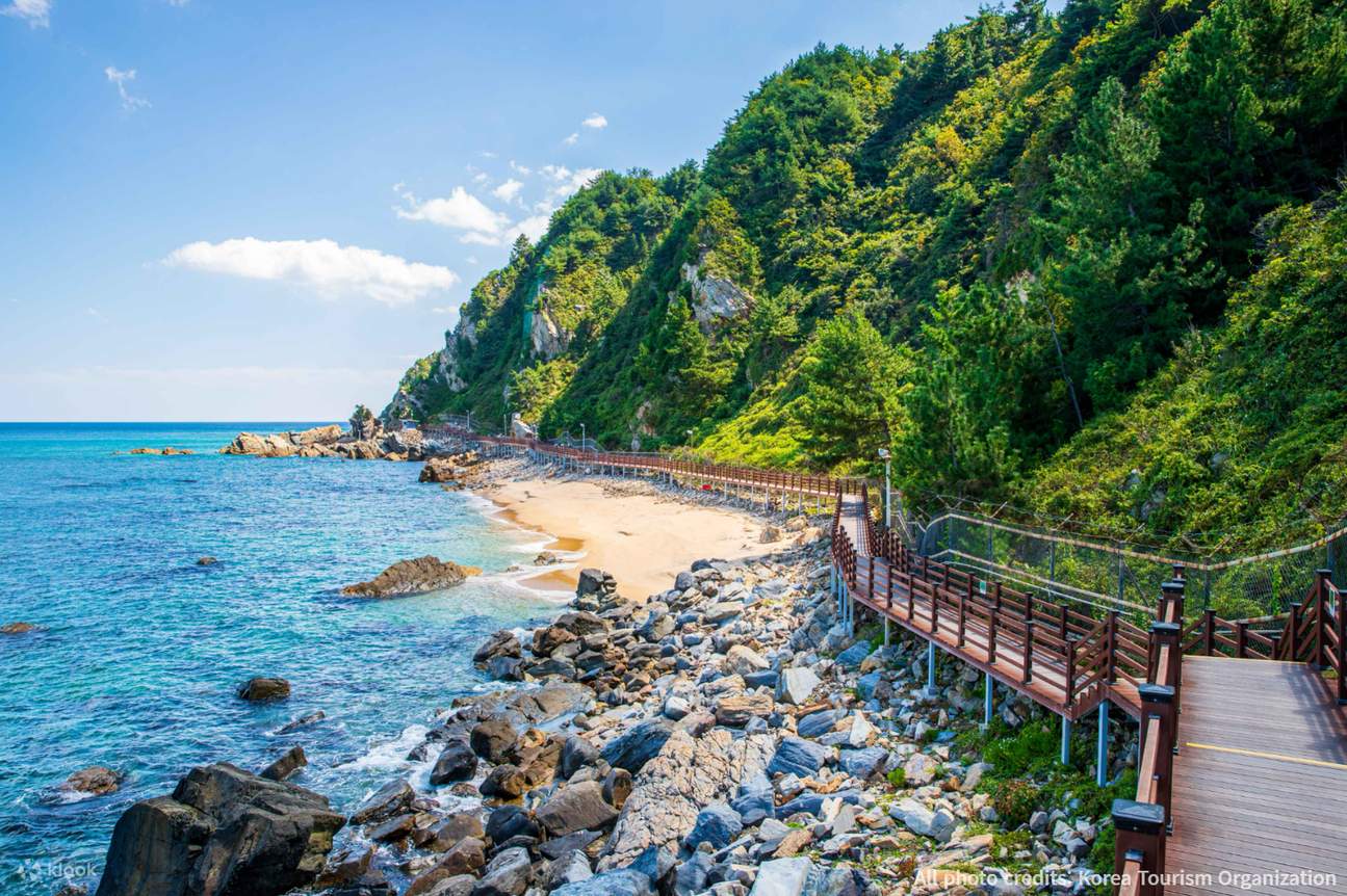 旌善深谷扇子路