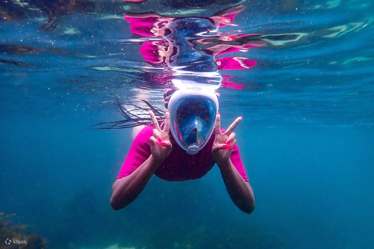 Pengalaman Snorkeling