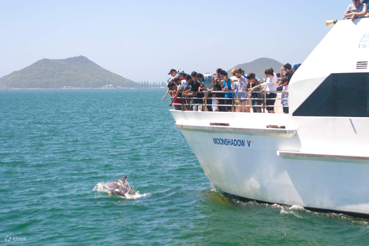 port stephens dolphin cruise