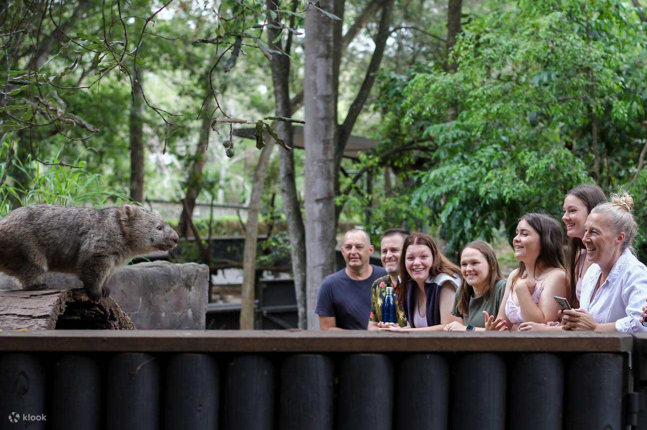 龍柏無尾熊動物園