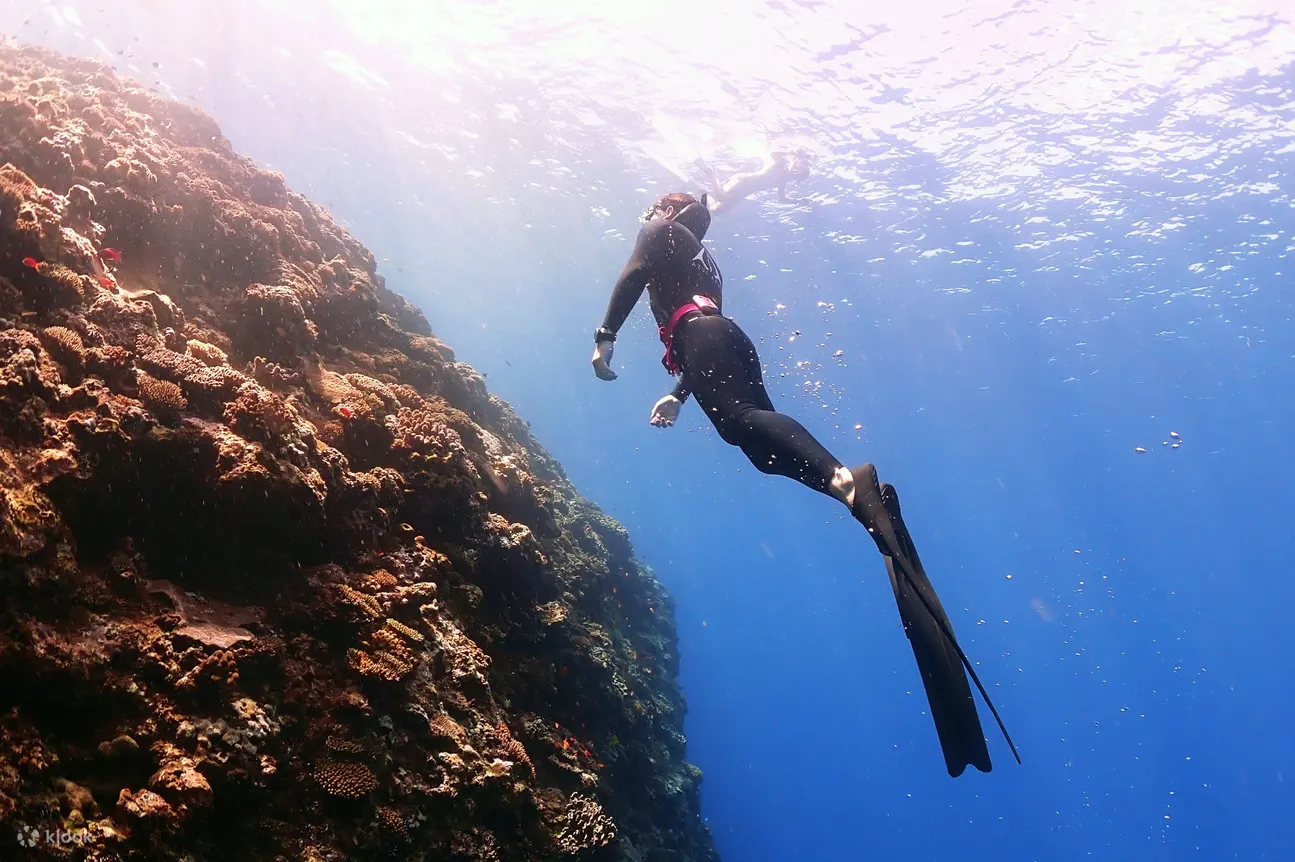 蘭嶼朗azul Apnea 人魚體驗 自由潛水 觀光自由潛水 Ssi初級自由潛水 Klook 客路