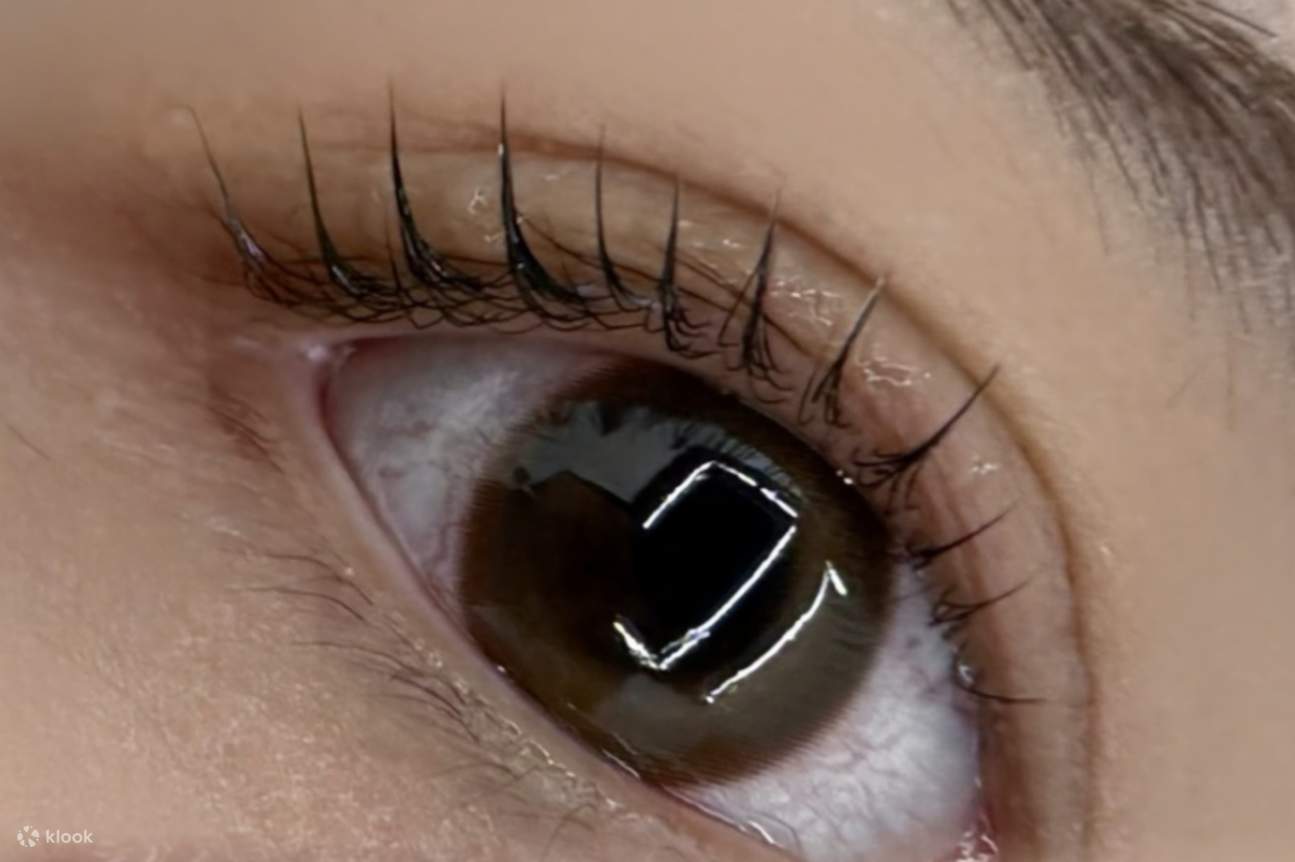 釜山（プサン）西面（ソミョン）プレミアムラッシュリフト（まつ毛パーマ）