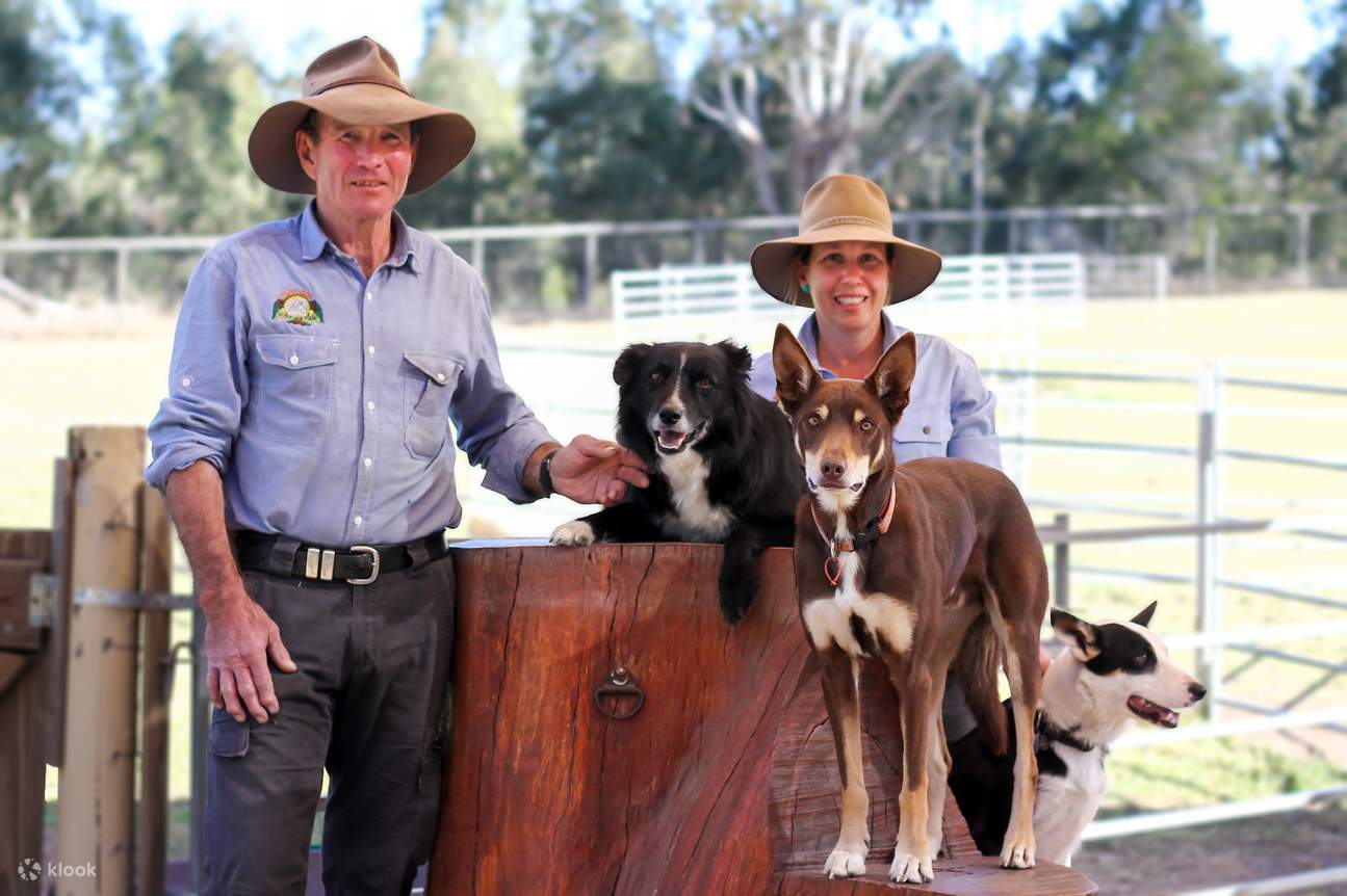 ローンパインコアラサンクチュアリ