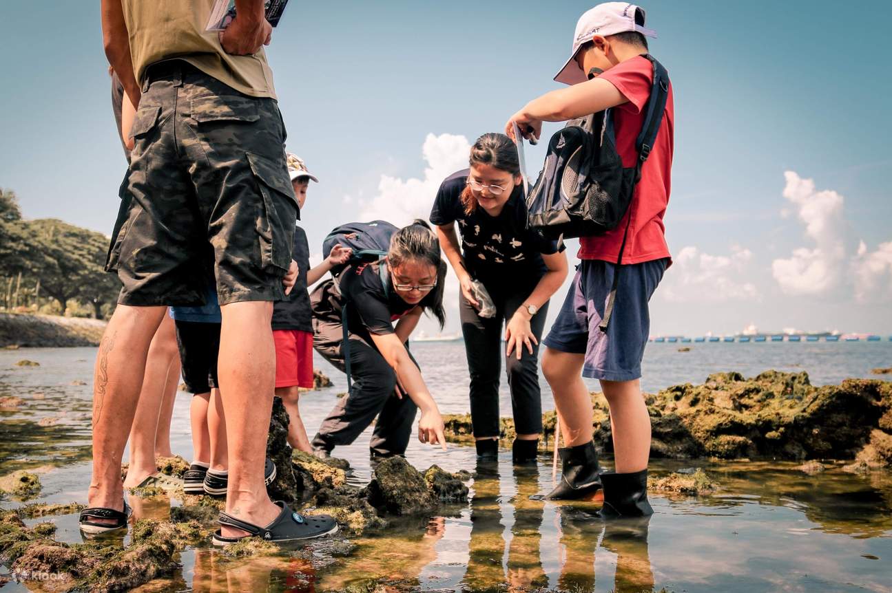 Singapore holiday camp