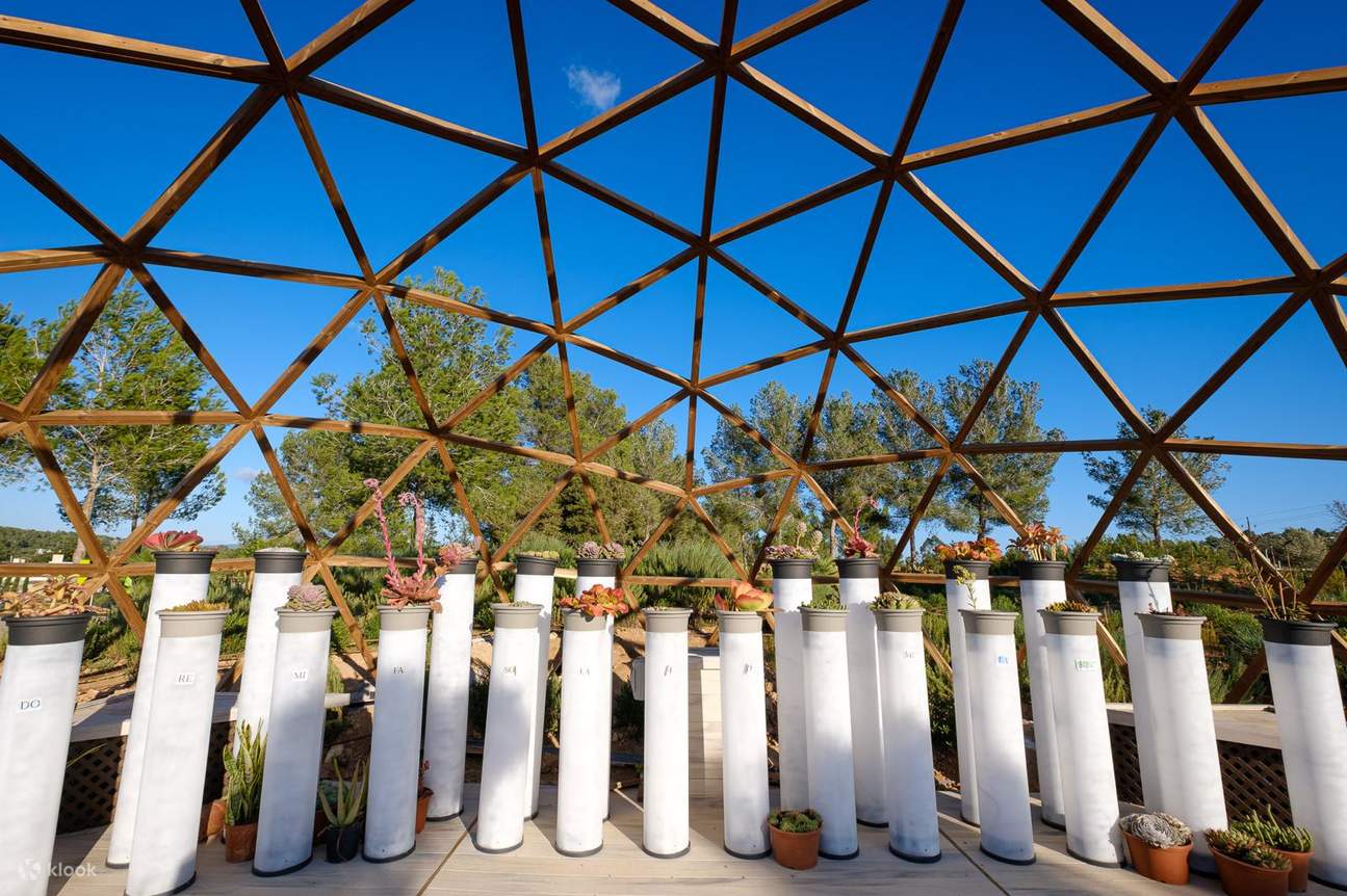 이비사 생명공학 식물원 투어