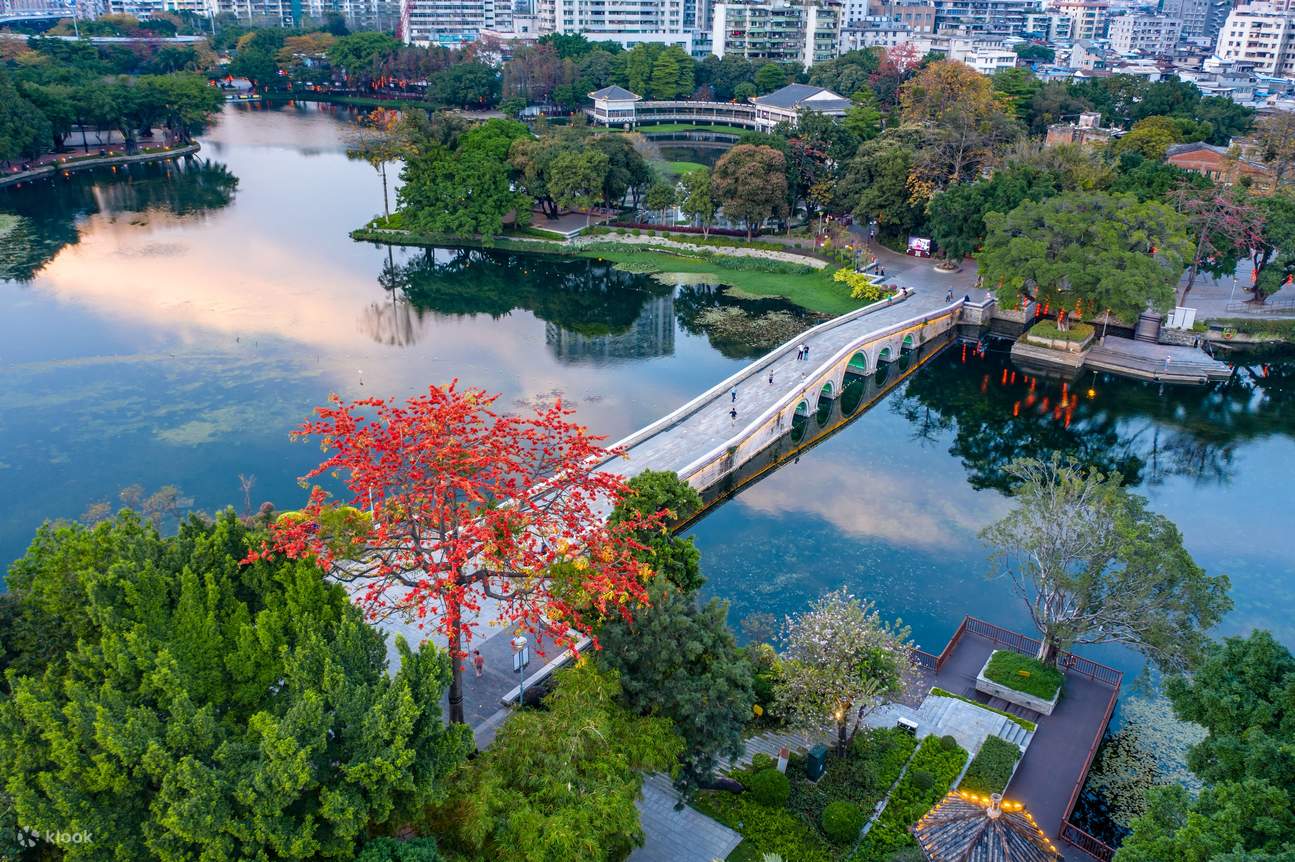 Pasee por las murmurantes aguas de la Bahía de Lichi