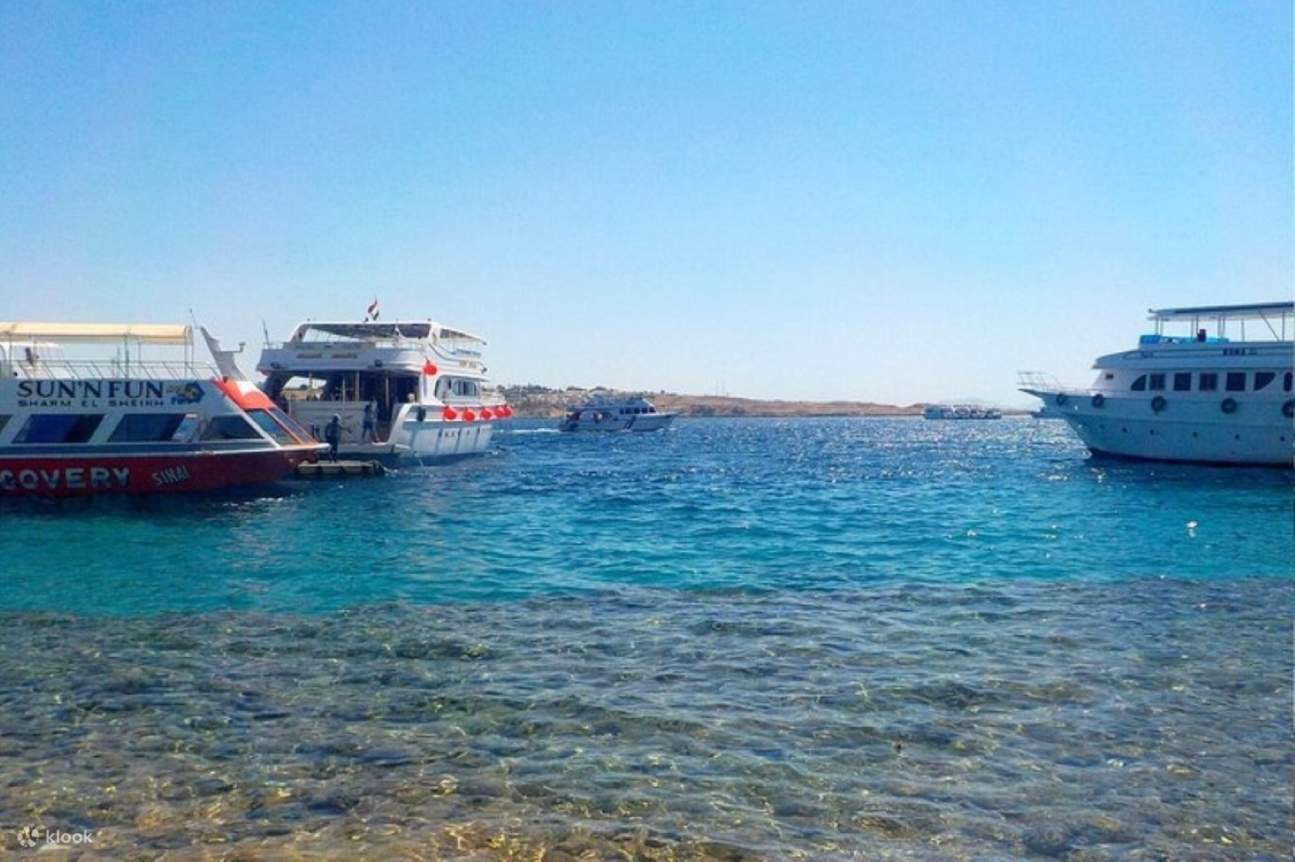 Lặn biển ngắm san hô ở Đảo Tiran, kèm bữa trưa & đưa đón - Sharm El Sheikh