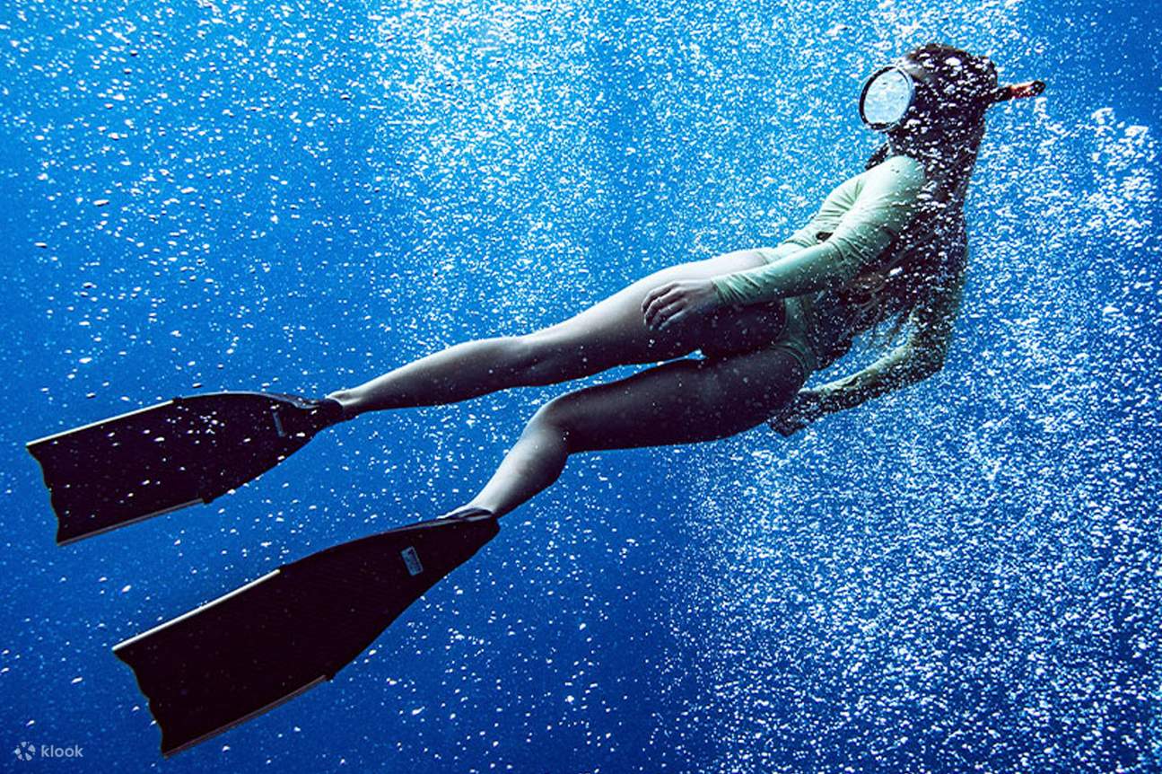 Beginner Freediving Course (with Bonus Session)