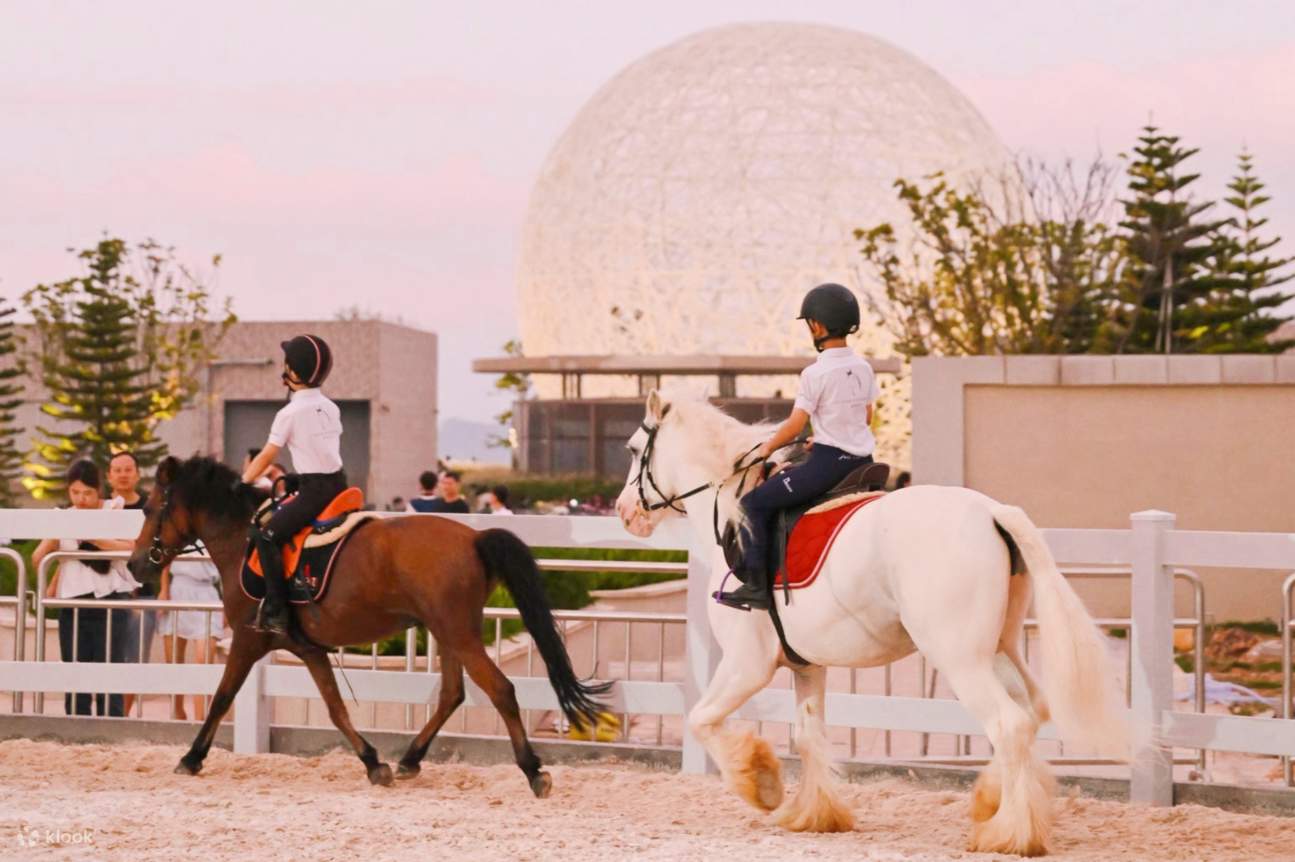 深圳K11 ECOAST 宠物治愈套