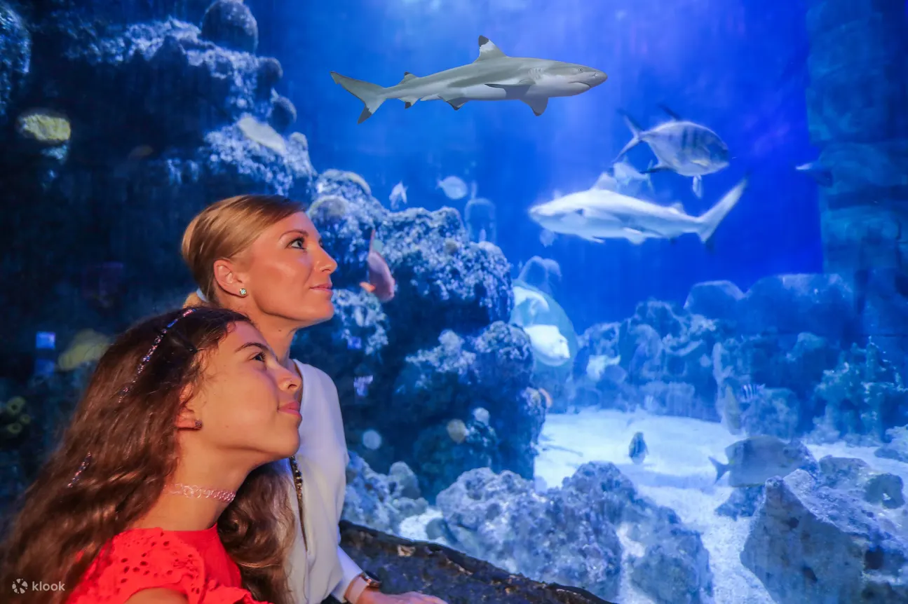 母亲和女儿在水族馆里看鲨鱼
