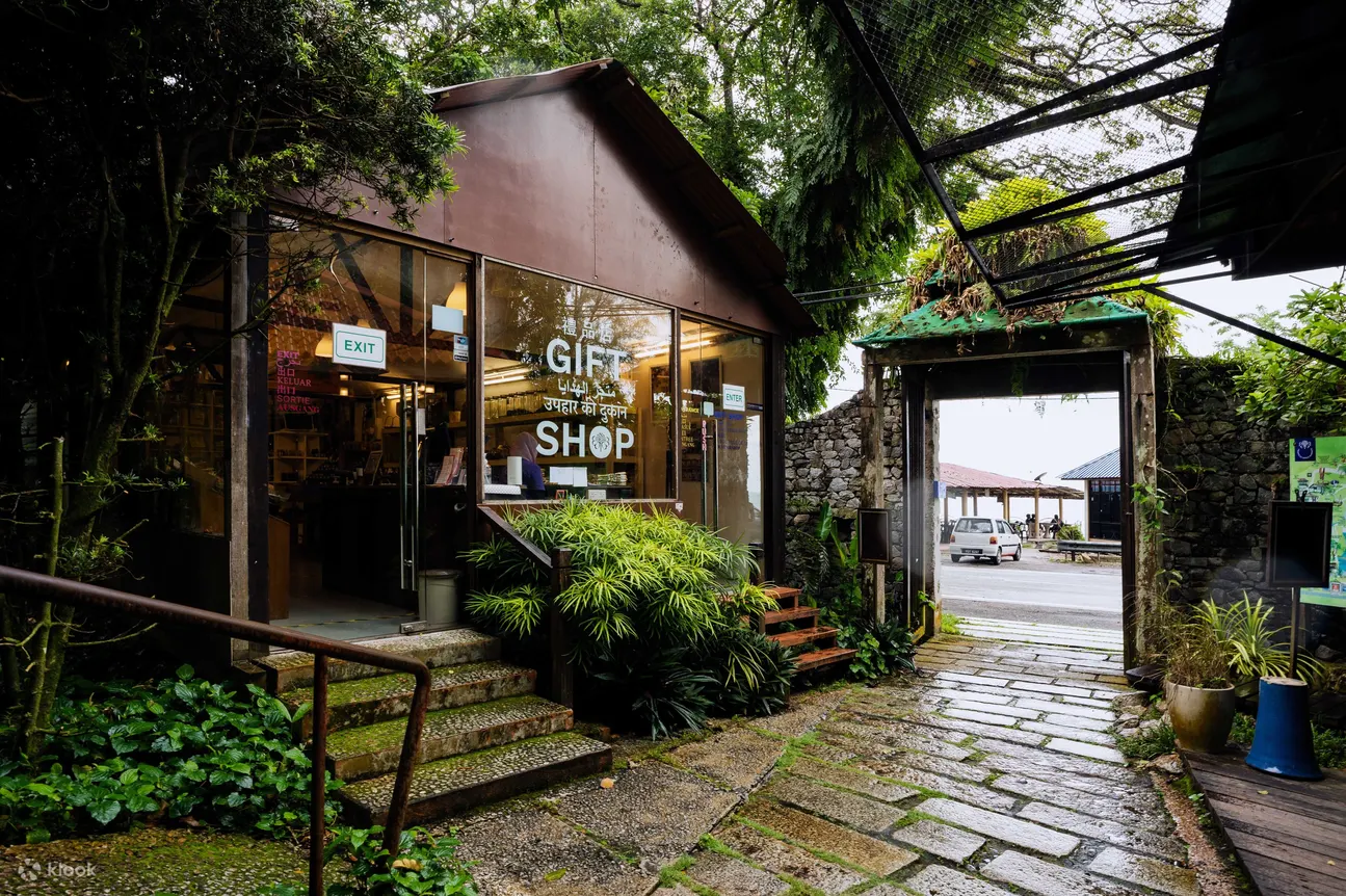店铺