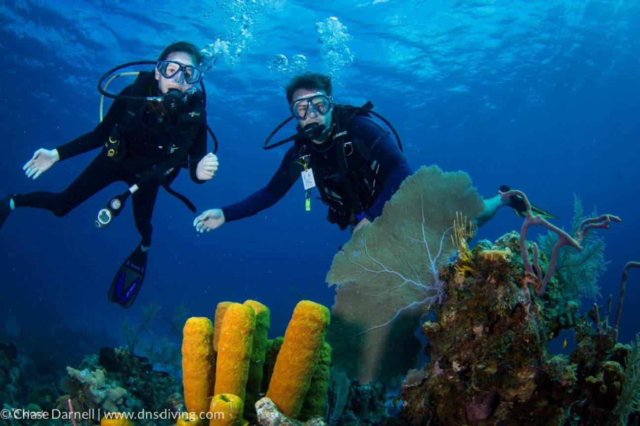 Esperienza di Immersioni Subacquee per Principianti & Pranzo - Sharm El Sheikh