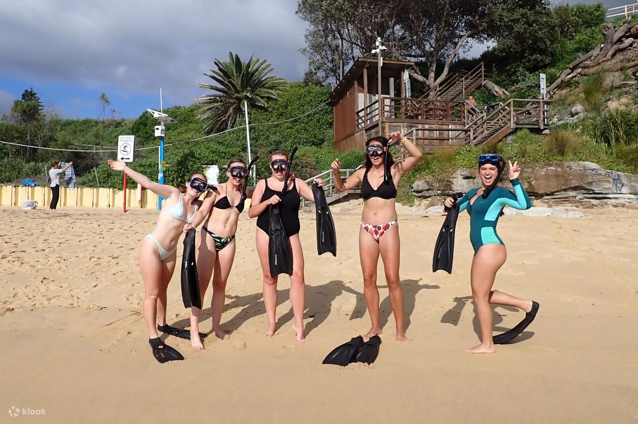 กิจกรรมดำน้ำตื้น