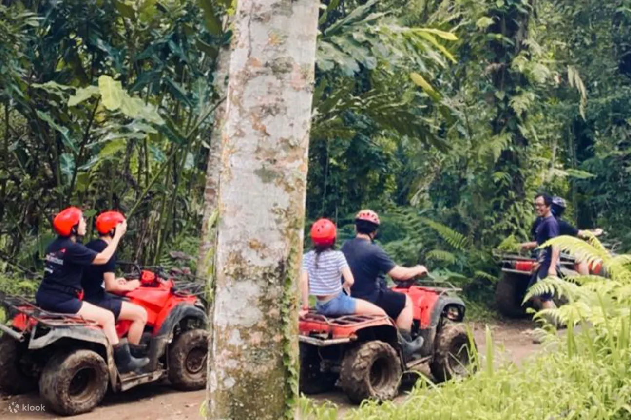 丛林 ATV 骑行 Jatiluwih 最佳套餐