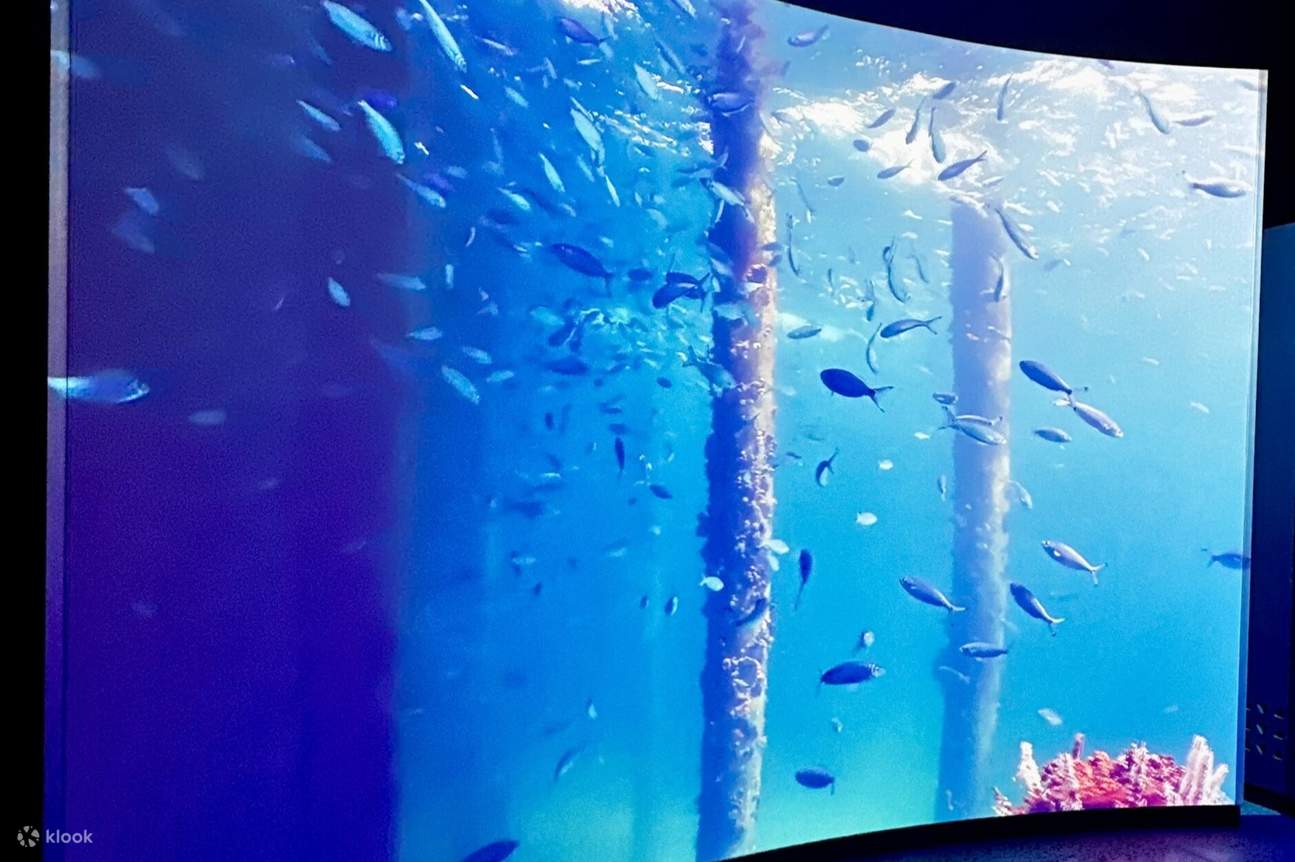 Vé Trung tâm khám phá biển Busselton Jetty