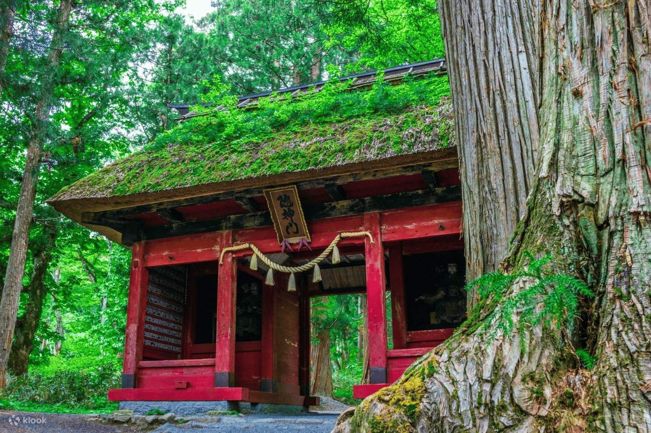 Okusha Togakushi Local Car Tour: Ninja Origins,Hidden Pond & Farm Treasures ...