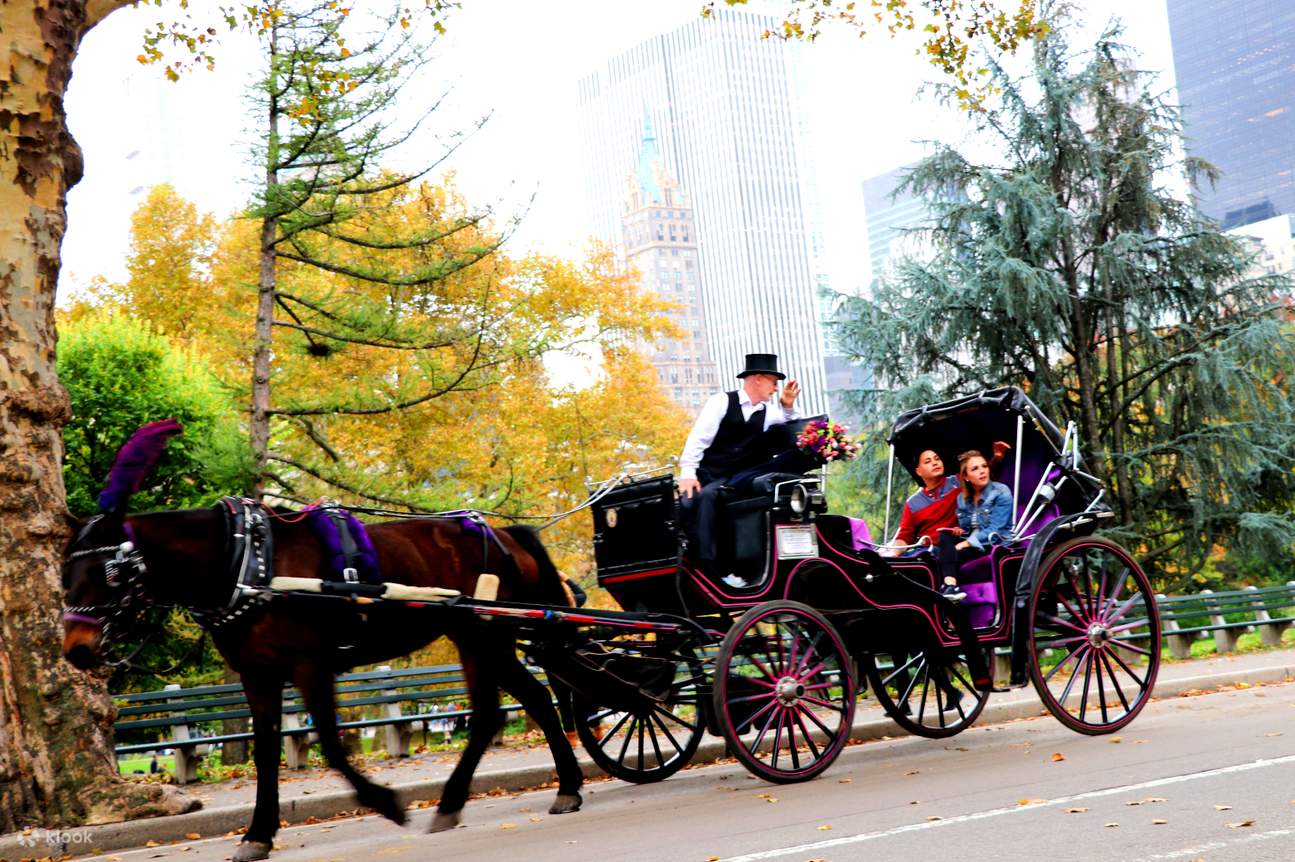 Central Park Horse Carriage Tour in New York Klook India