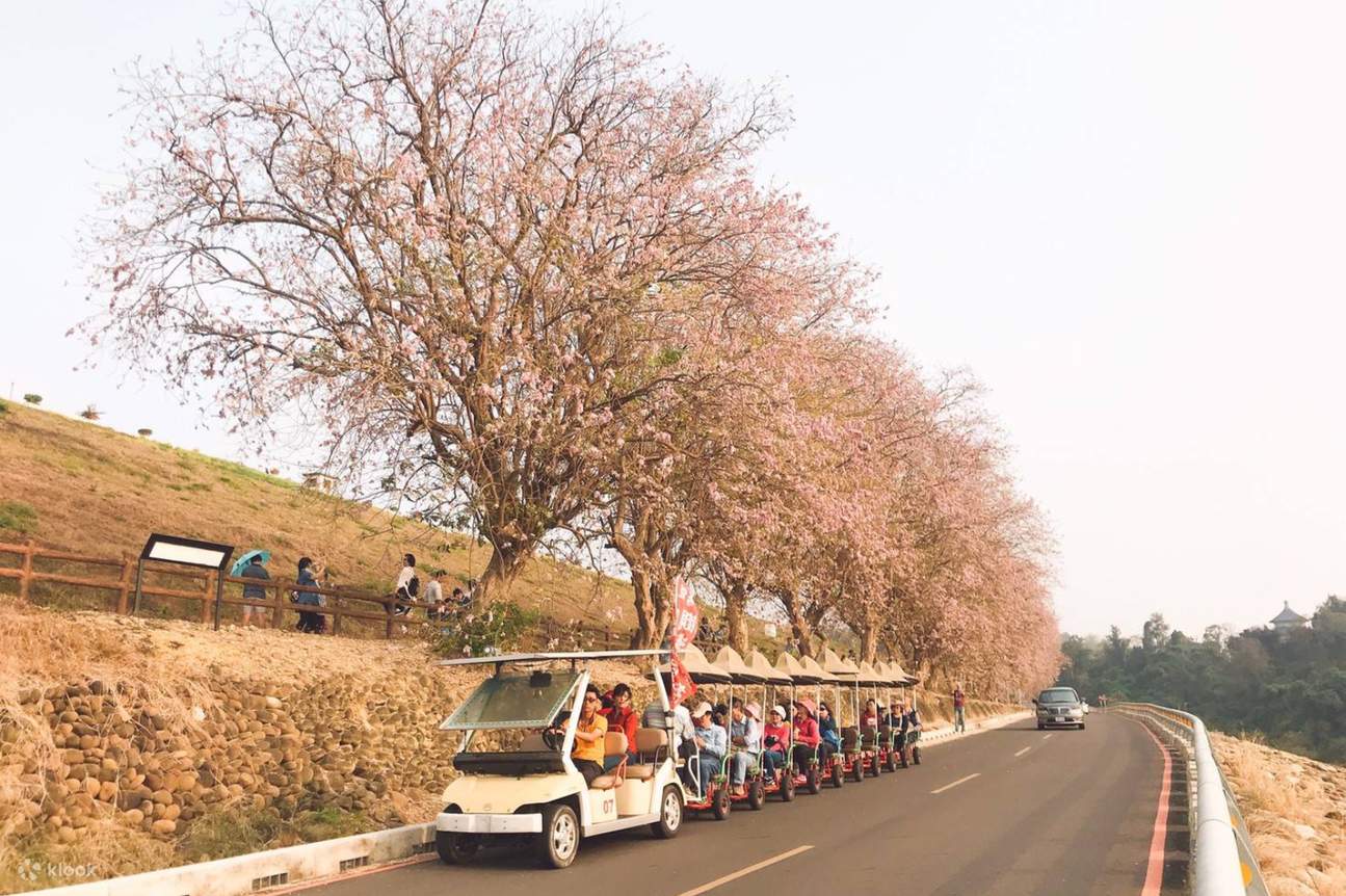a caddie ride on a road somewhere in the Wusanto Reservoir