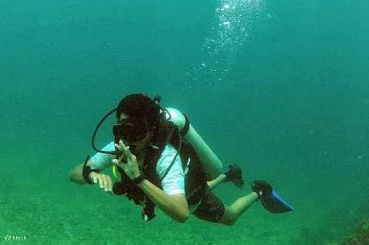 Goa Selatan: Selam Skuba Di Pulau Grande, Berhampiran Lapangan Terbang Dabolim